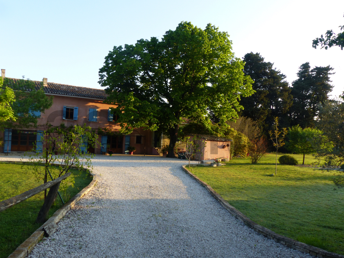 Photo mobile 2 | St remy de provence (13210) | Maison de 346.00 m² | Type 13 | 1250000 € |  Référence: 187866EV